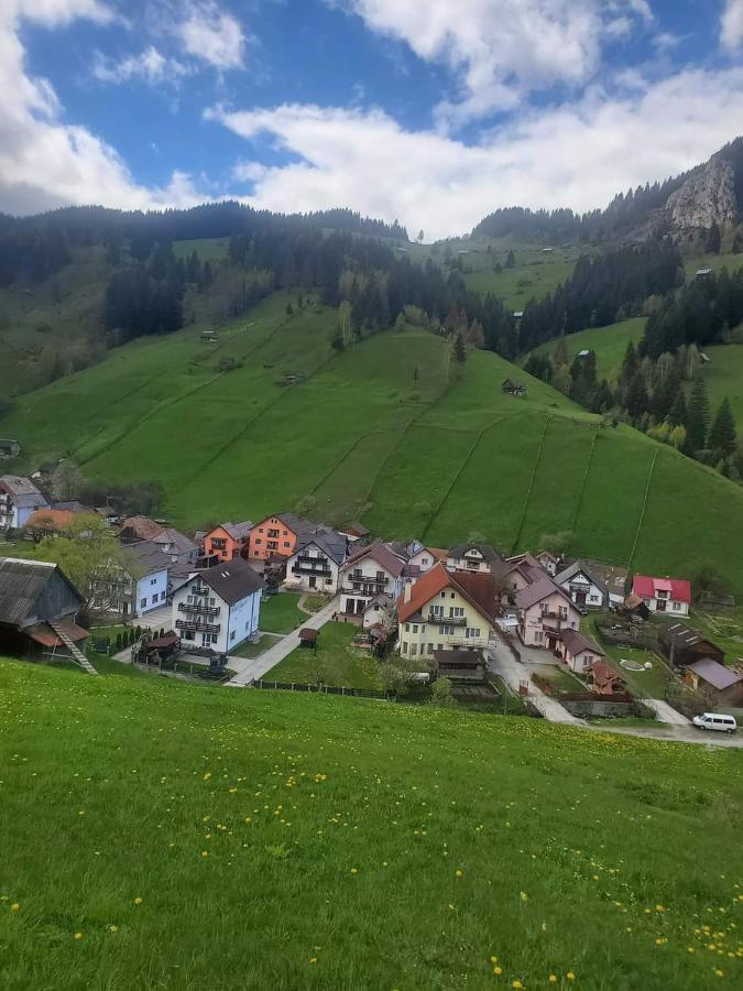 Pensiunea Sorina Casa Alba Moeciu De Sus Exterior foto